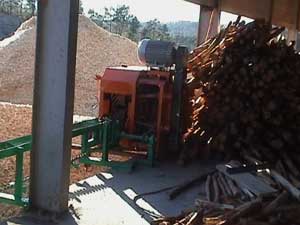 Pinhal Nova Maquina descascar Toros Madeiras Tratadas